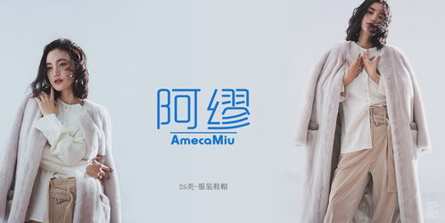 品标25类商标转让 阿缪 ameeamiu 精品推荐